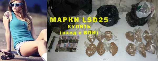 прущий лед Вяземский